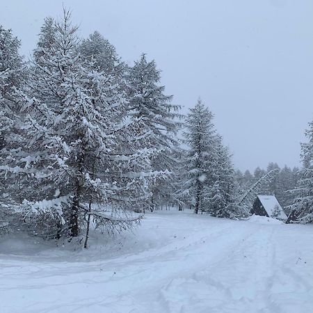Chalet Bastilor La Joue du Loup Eksteriør billede