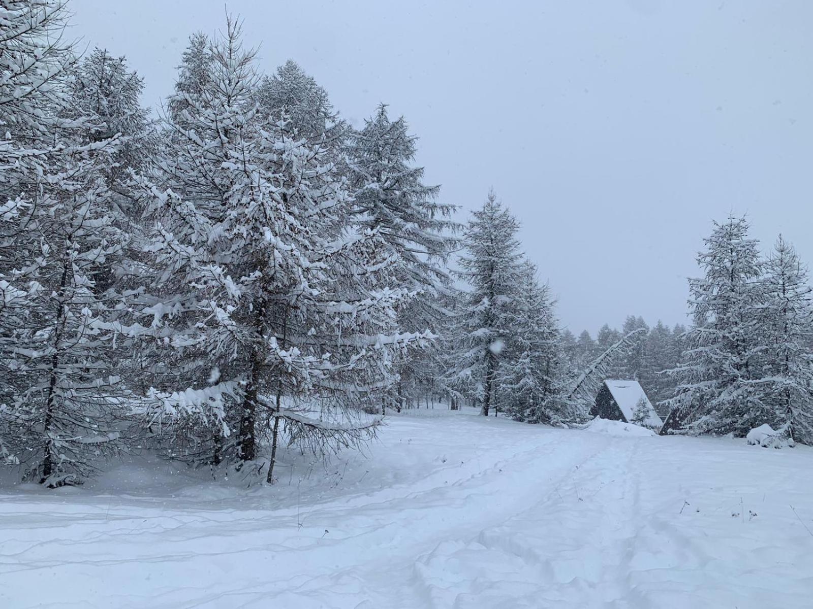 Chalet Bastilor La Joue du Loup Eksteriør billede